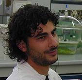 Nicola Vincenti Nicola vincenti